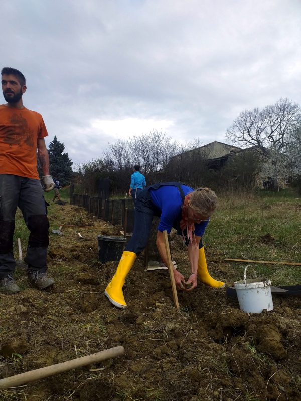 Servins-plantation-haies-2-scaled.jpg
