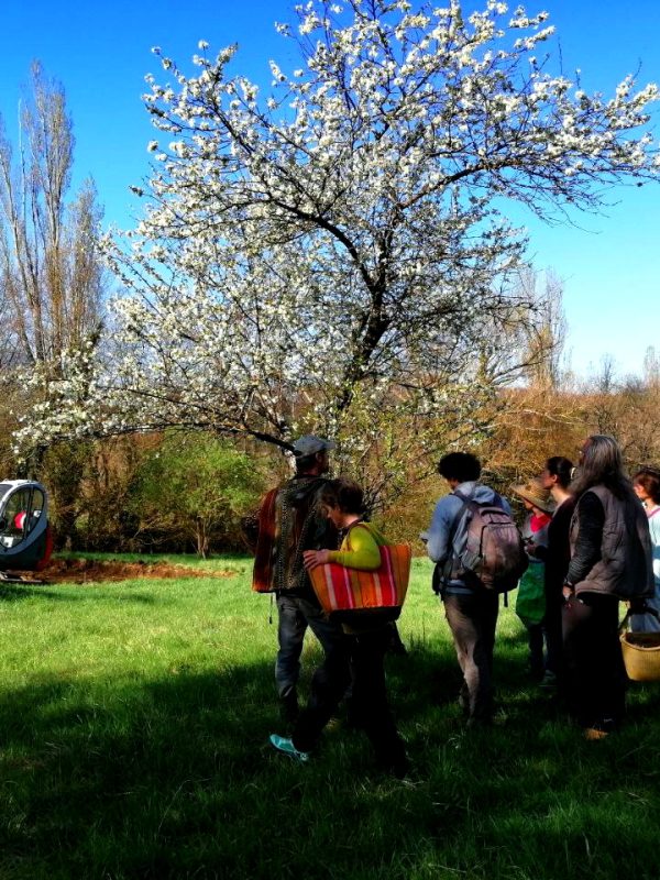 Servins-travaux-jardin.jpg